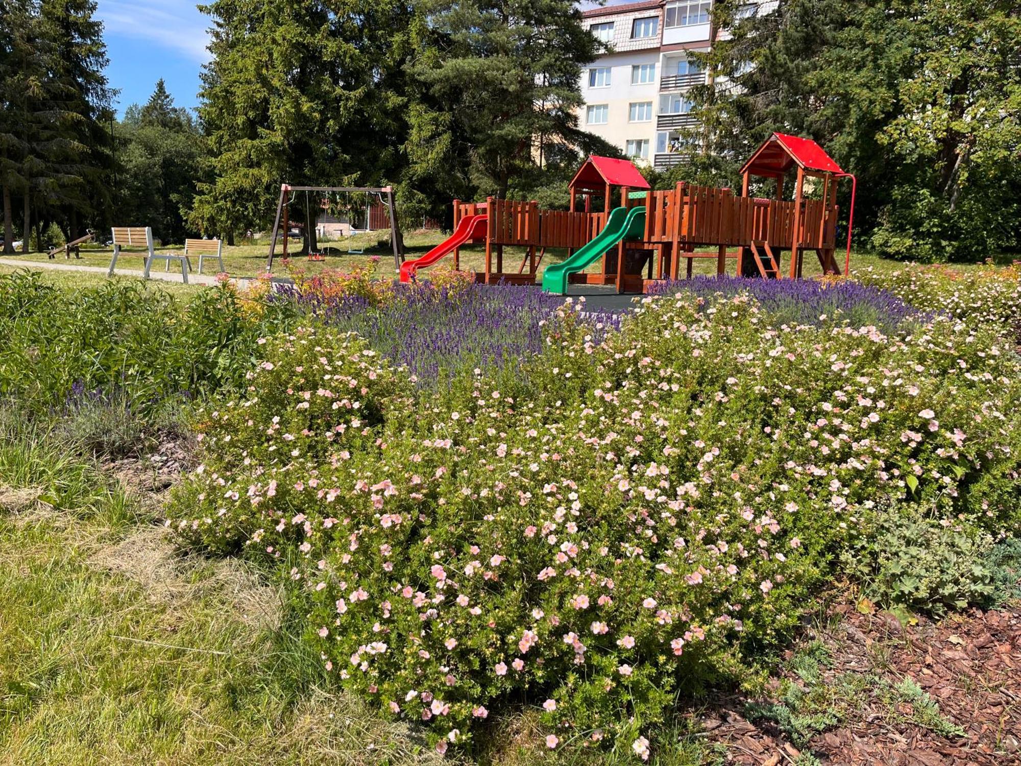 Cozy Apartment By The Forest Tatranská Štrba Exteriér fotografie